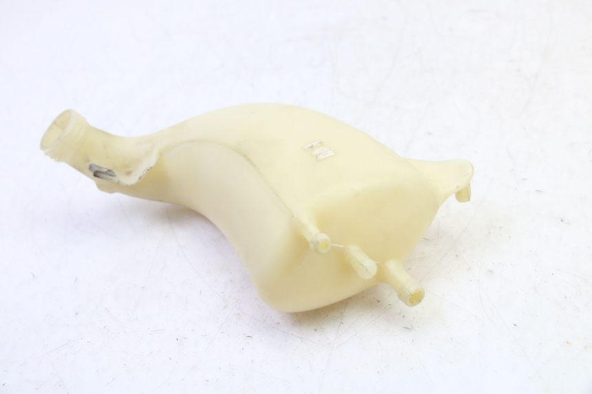 photo de AUSGLEICHSBEHÄLTER PIAGGIO MP3 RL 250 (2007 - 2010)