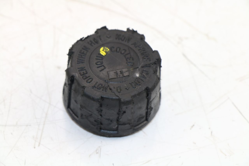 photo de AUSGLEICHSBEHÄLTER PIAGGIO MP3 500 (2011 - 2015)