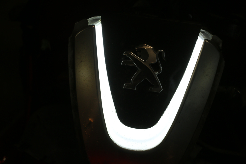 photo de STANDLICHT PEUGEOT DJANGO 4T 50 (2014 - 2019) - Oberflächenzustand und Material