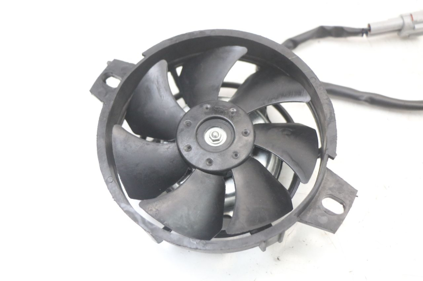 photo de VENTILATOR MASAI SCRAMBLER SPORT 125 (2021 - 2025)