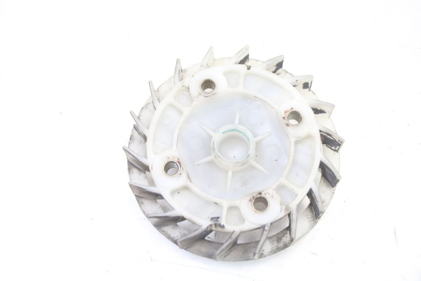 photo de VENTILATOR PEUGEOT TWEET 4T 50 (2018 - 2020)